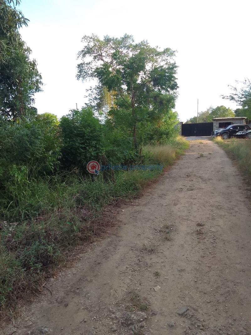 Residential Land For Sale Near Braeburn International School. pastor Lai Road Bamburi Mombasa - 5