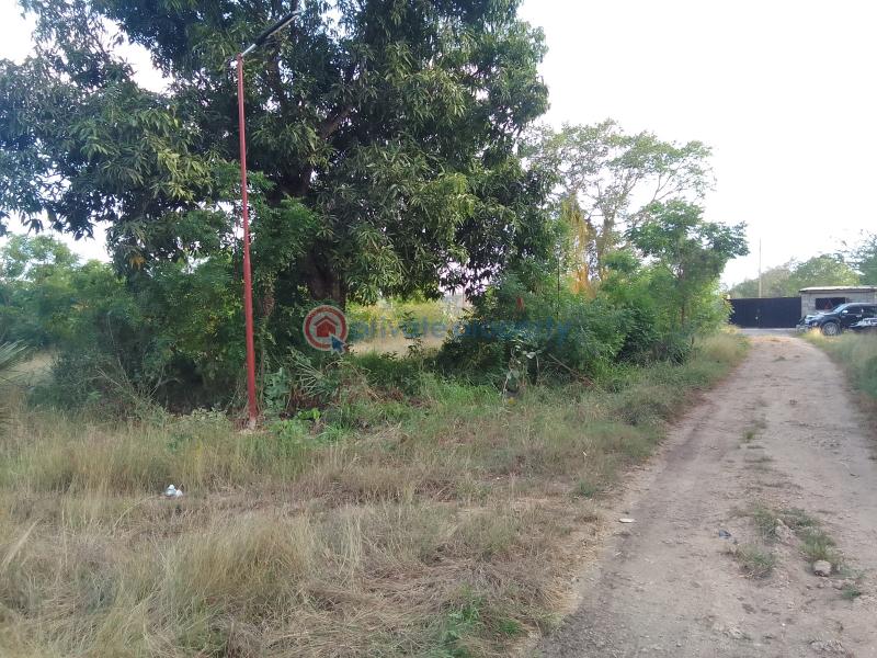 Residential Land For Sale Near Braeburn International School. pastor Lai Road Bamburi Mombasa - 1