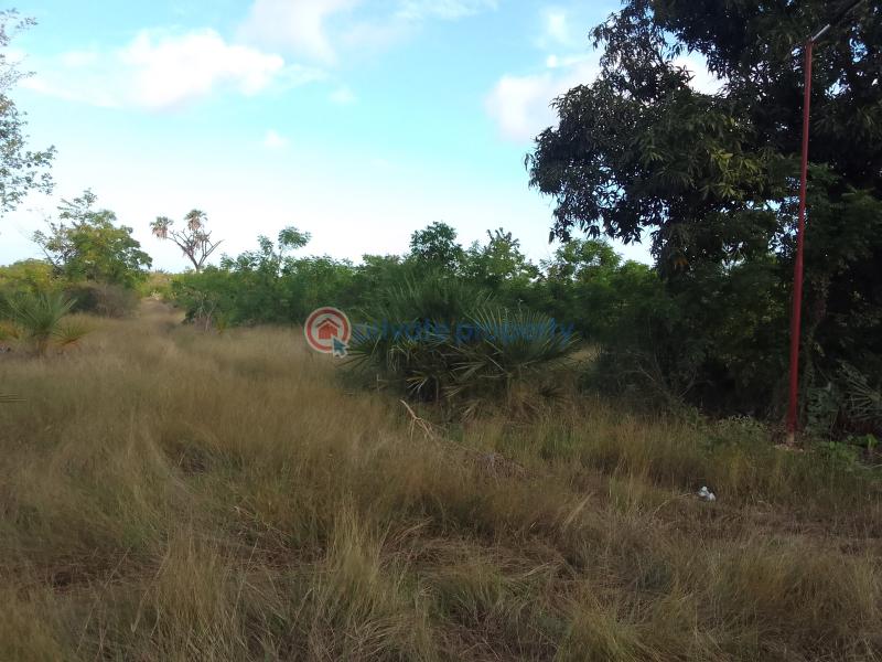 Residential Land For Sale Near Braeburn International School. pastor Lai Road Bamburi Mombasa - 2