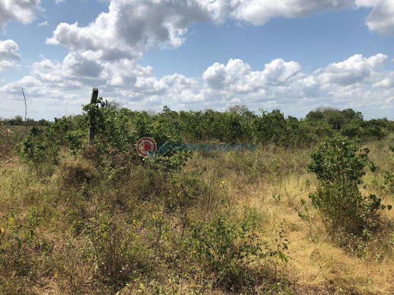 Land For Sale Malindi, Marereni Malindi Malindi Town Kilifi - 2
