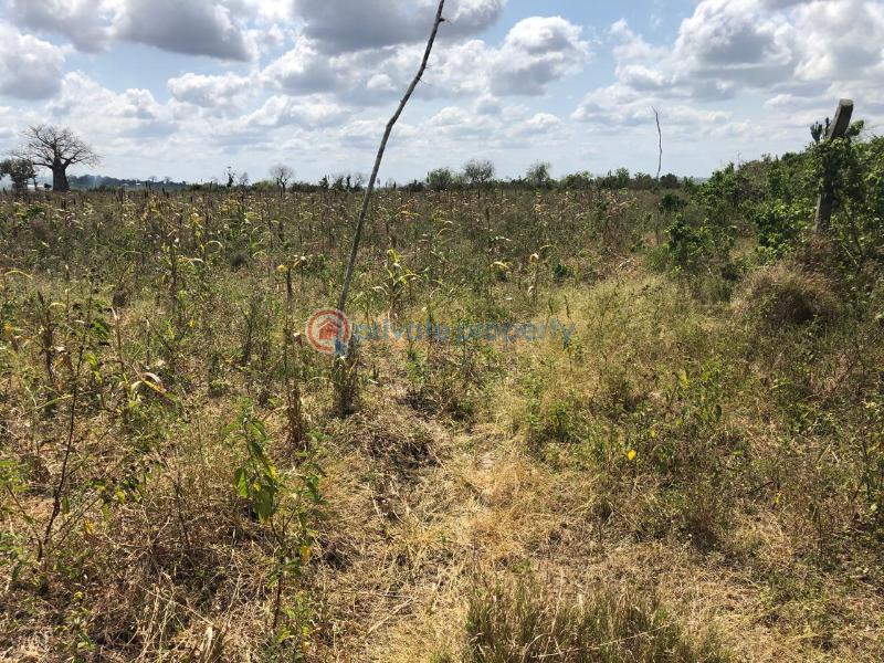Land For Sale Malindi, Marereni Malindi Malindi Town Kilifi - 7