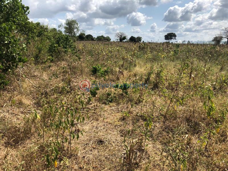 Land For Sale Malindi, Marereni Malindi Malindi Town Kilifi - 1
