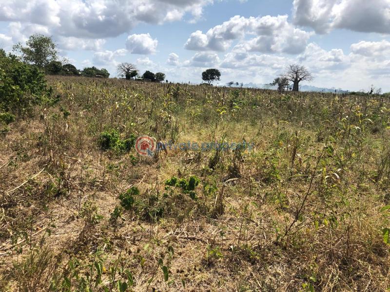 Land For Sale Malindi, Marereni Malindi Malindi Town Kilifi - 6