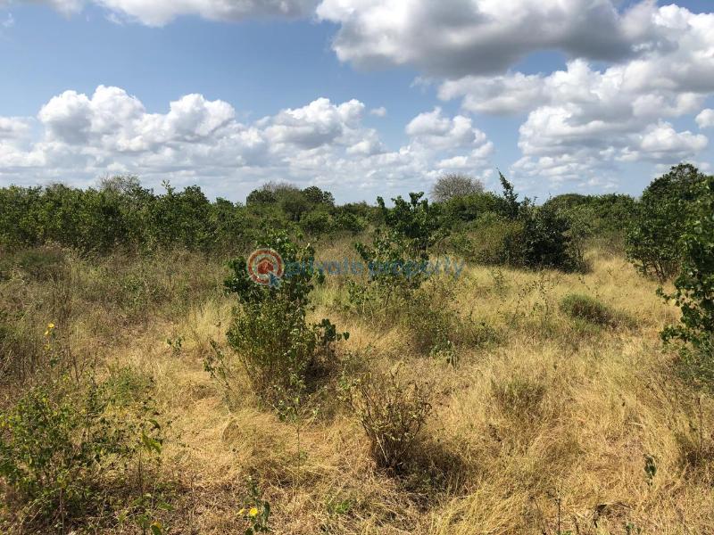 Land For Sale Malindi, Marereni Malindi Malindi Town Kilifi - 3