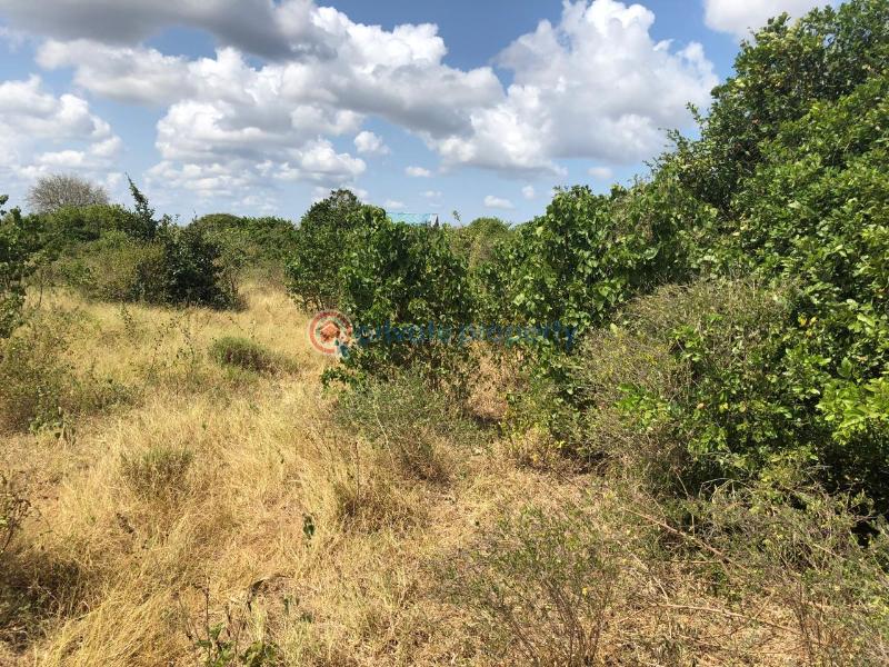 Land For Sale Malindi, Marereni Malindi Malindi Town Kilifi - 4