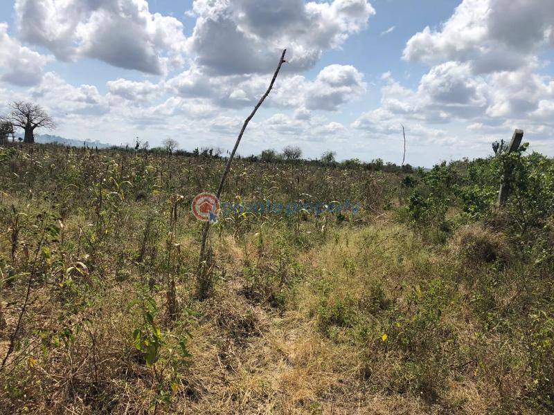 Land For Sale Malindi, Marereni Malindi Malindi Town Kilifi - 5