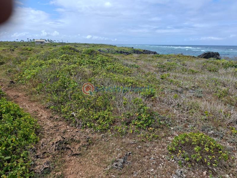 Land For Sale Matsangoni Beach Matsangoni Kilifi - 5