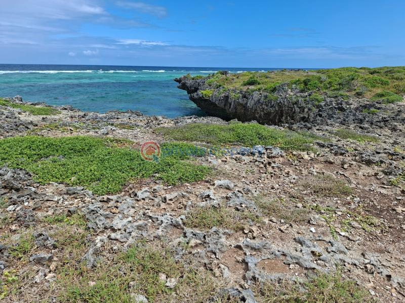 Land For Sale Matsangoni Beach Matsangoni Kilifi - 1