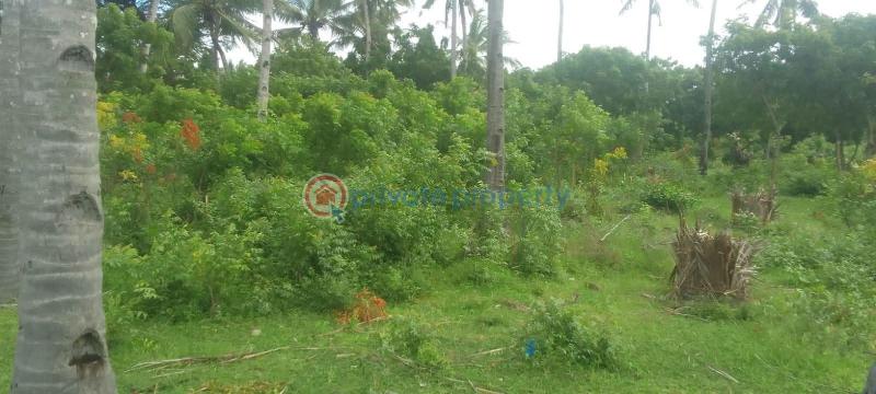 Land For Sale Watamu, Pawns Like Ocean Front Watamu Kilifi - 7