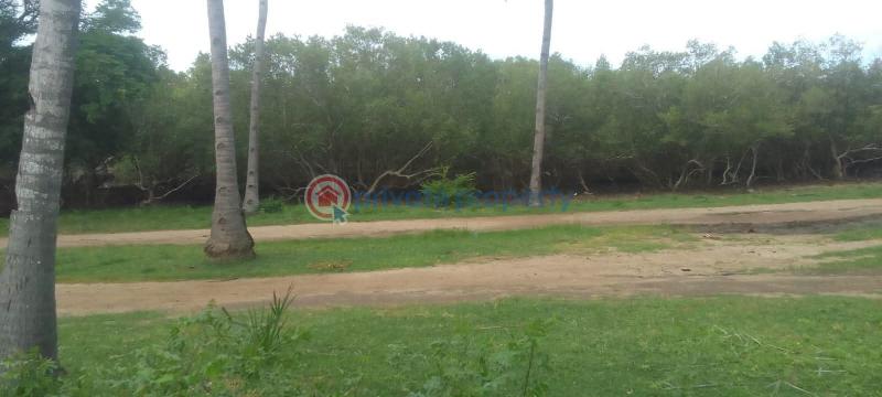 Land For Sale Watamu, Pawns Like Ocean Front Watamu Kilifi - 5