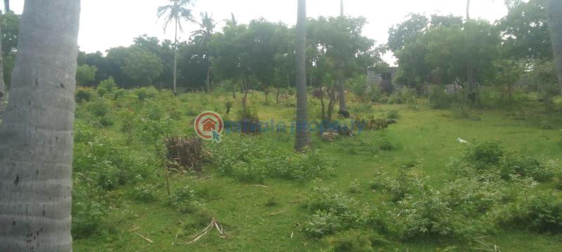 Land For Sale Watamu, Pawns Like Ocean Front Watamu Kilifi - 4