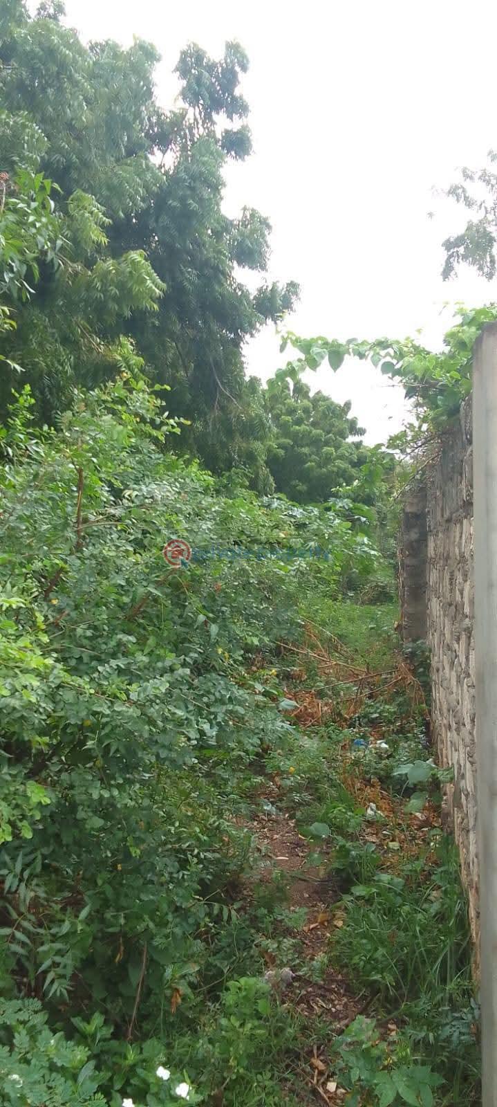 Land For Sale Watamu, Pawns Like Ocean Front Watamu Kilifi - 2