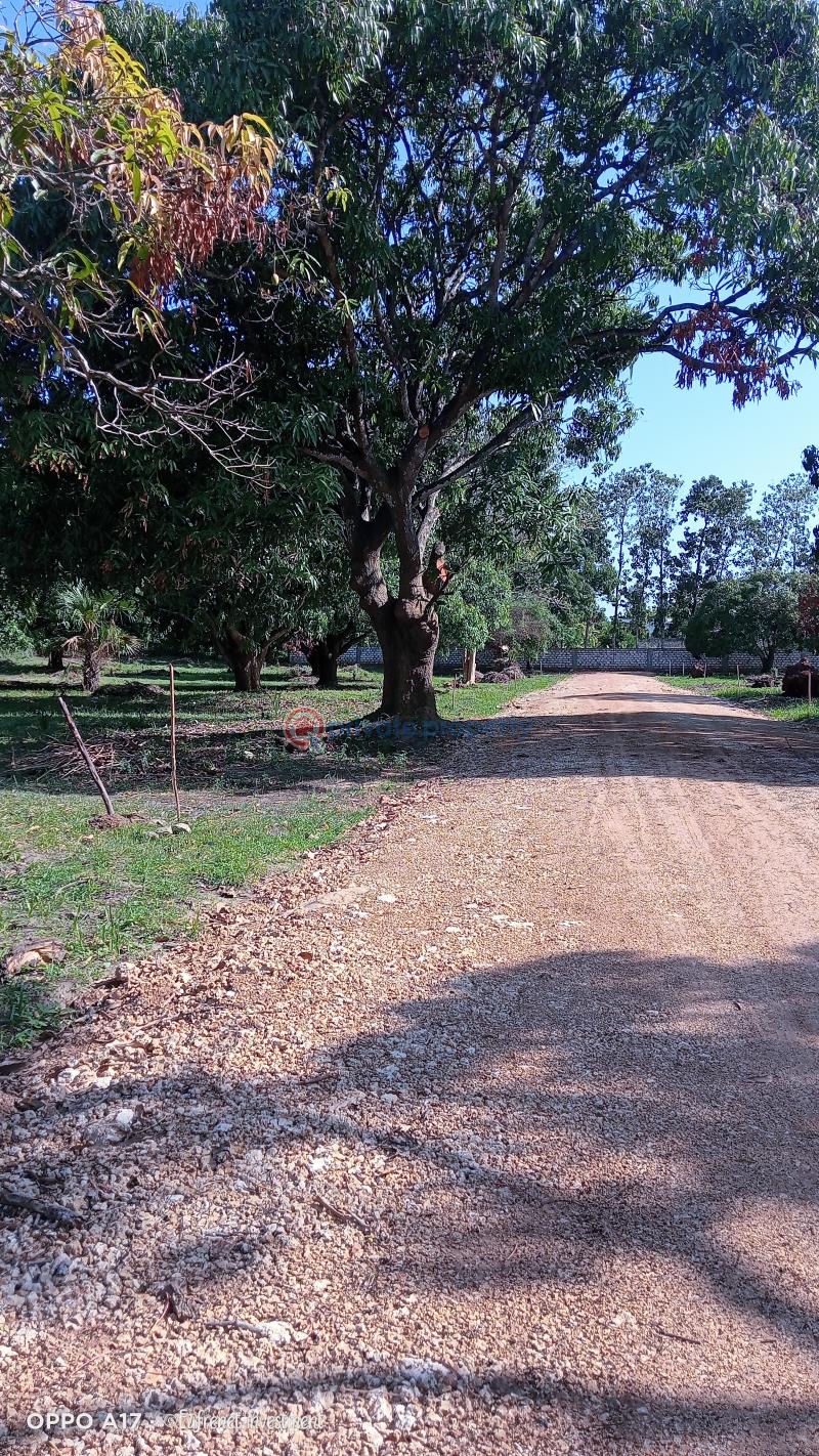 Land For Sale Off Mombasa Malindi High Opposite Pwani Oil Factory Kanamai Mtwapa Kilifi - 3