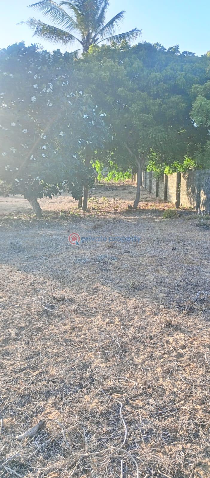 Land For Sale Bofa Beach Sokoni Kilifi - 3