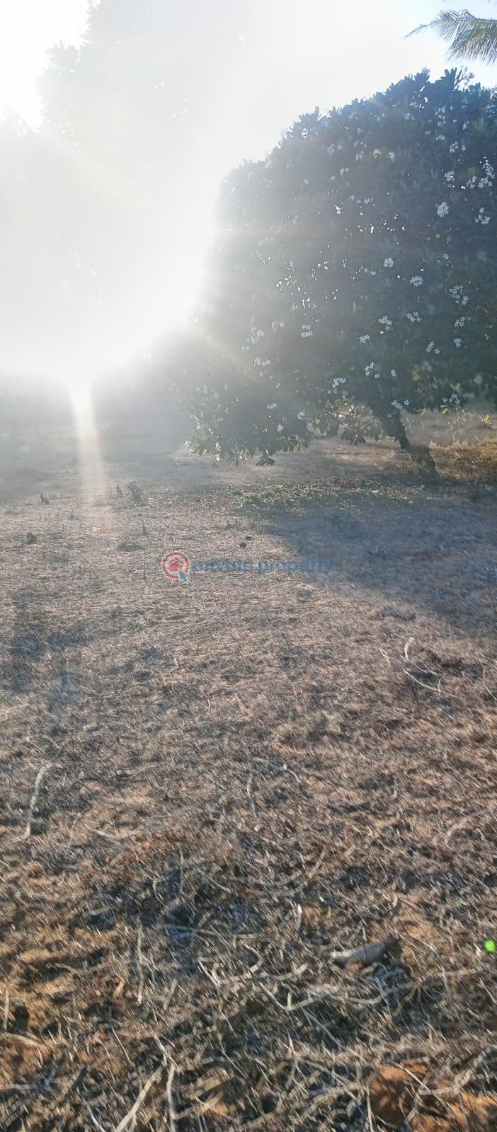 Land For Sale Bofa Beach Sokoni Kilifi - 4