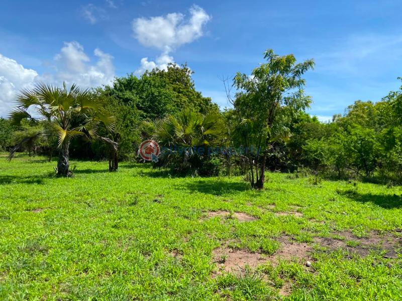 Land For Sale Kuruwitu Beach Shimo La Tewa Kilifi - 2