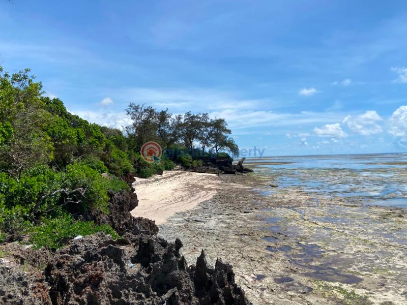 Land For Sale Kuruwitu Beach Shimo La Tewa Kilifi - 8
