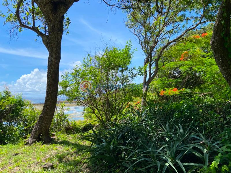 Land For Sale Kuruwitu Beach Shimo La Tewa Kilifi - 6