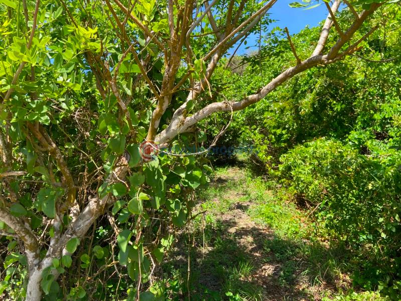 Land For Sale Kuruwitu Beach Shimo La Tewa Kilifi - 0