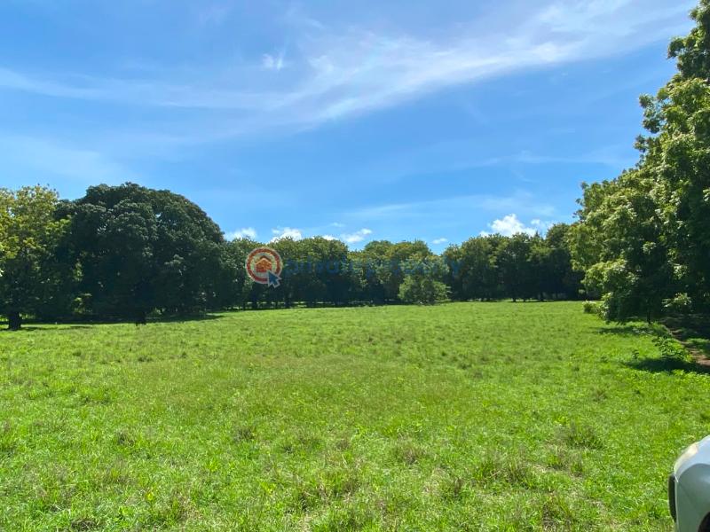 Land For Sale Kuruwitu Beach Shimo La Tewa Kilifi - 9