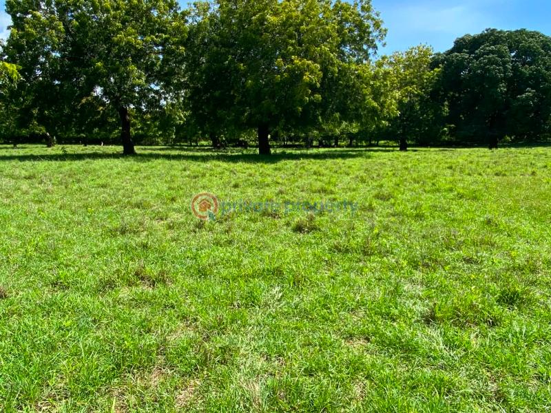 Land For Sale Kuruwitu Beach Shimo La Tewa Kilifi - 5