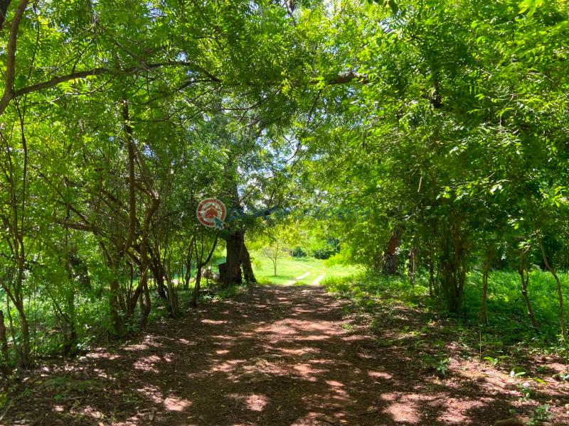 Land For Sale Kuruwitu Beach Shimo La Tewa Kilifi - 3