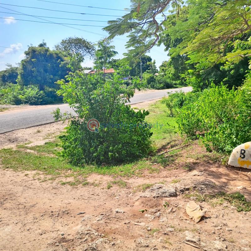 Land For Sale Bofa Road, Kilifi Jacaranda Beach. Watamu Kilifi - 3