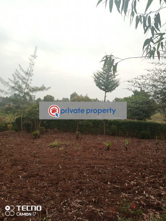 Land For Sale prime Bigger Quarter Acre 500m From Tarmac In Gikambura