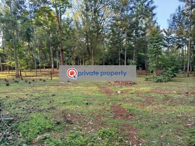 Commercial Land For Sale &nbsp;windyridge Touching Three D Ln And Dagoretti Road Karen Nairobi - 2