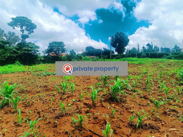 Land For Rent &nbsp;gikambura Kikuyu Kiambu - 6