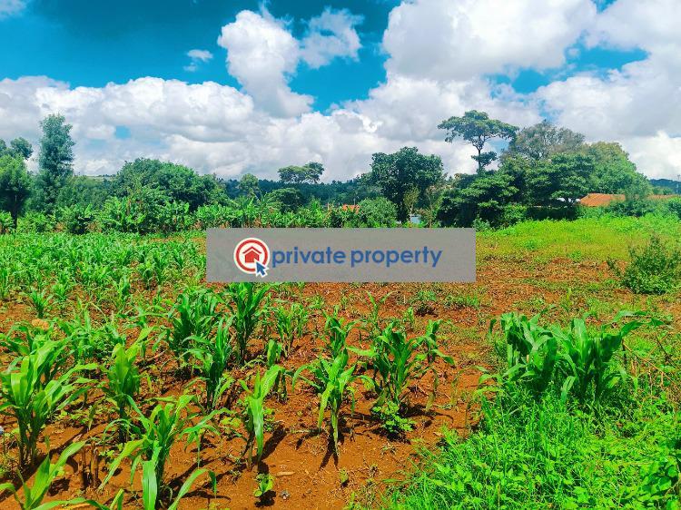 Land For Rent &nbsp;gikambura Kikuyu Kiambu - 5
