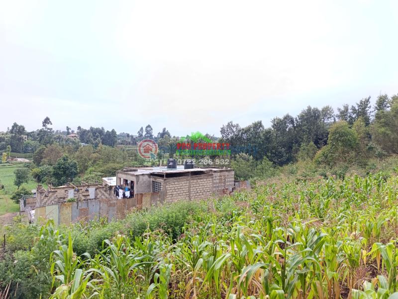 Residential Land For Sale Gitaru 500 Meters From The Tarmac Road Kikuyu Kiambu - 5