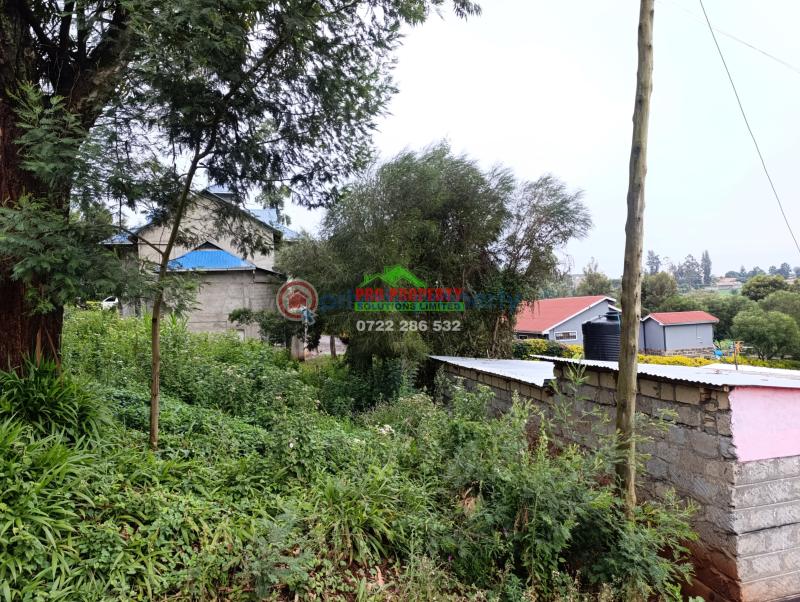 Residential Land For Sale Gitaru 500 Meters From The Tarmac Road Kikuyu Kiambu - 4