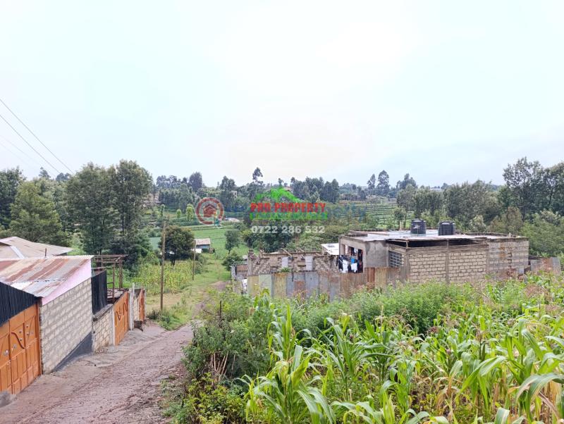 Residential Land For Sale Gitaru 500 Meters From The Tarmac Road Kikuyu Kiambu - 3