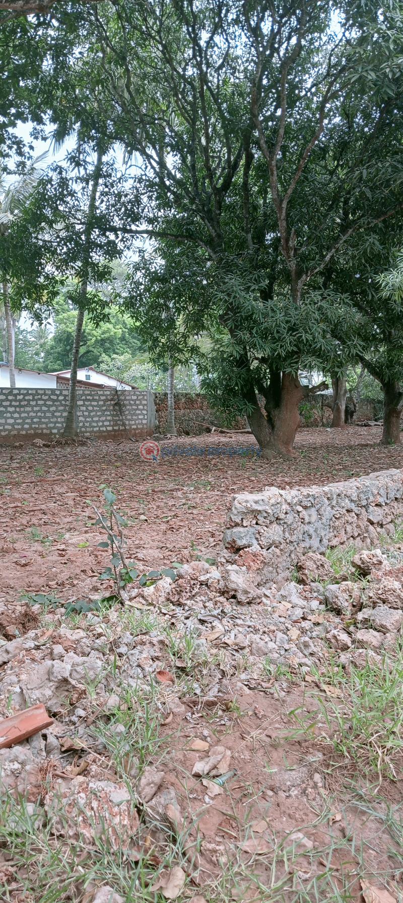 Land For Sale Past Sunset Apartment Shanzu Mombasa - 2