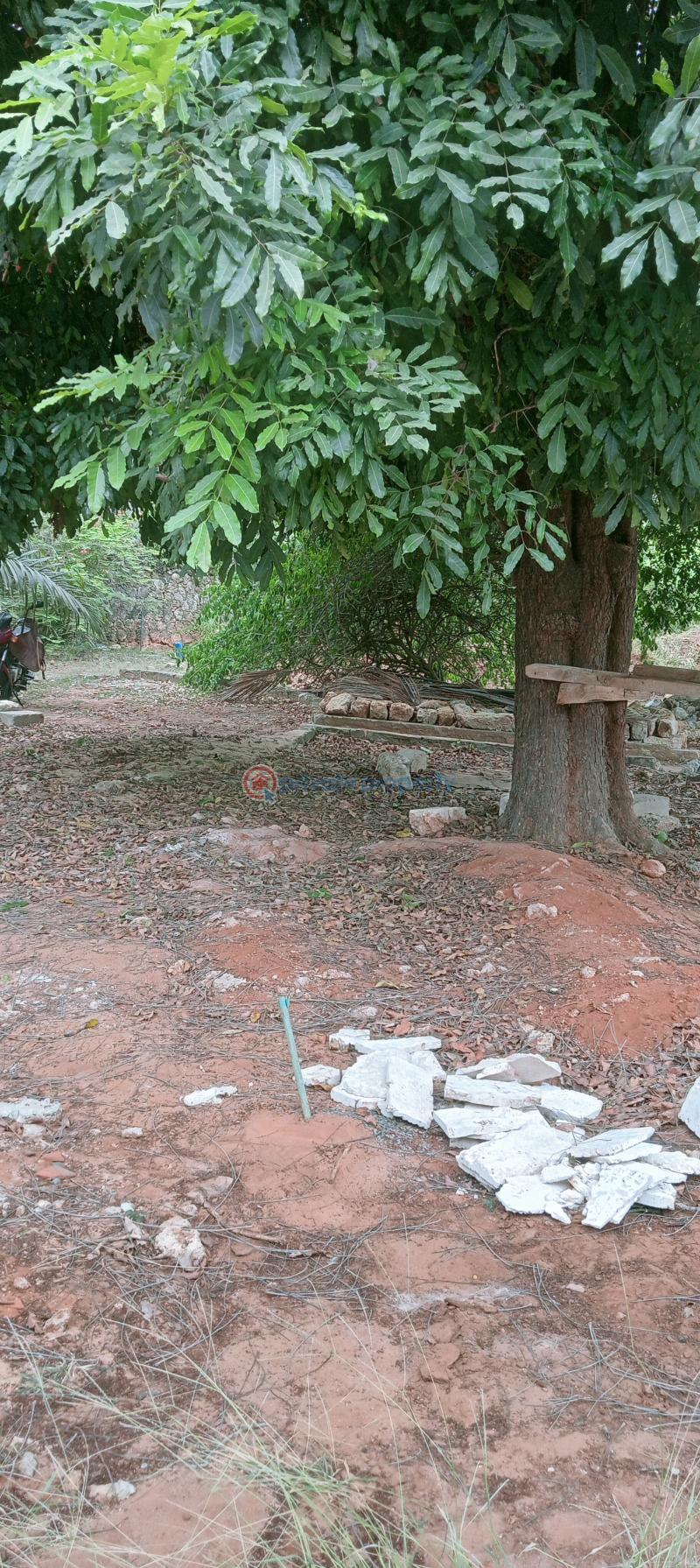 Land For Sale Past Sunset Apartment Shanzu Mombasa - 6