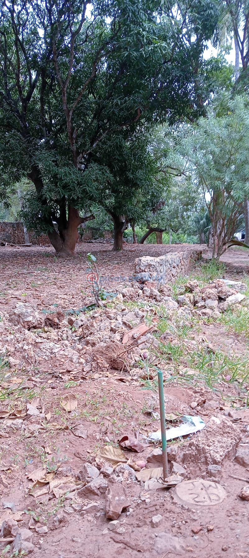 Land For Sale Past Sunset Apartment Shanzu Mombasa - 10