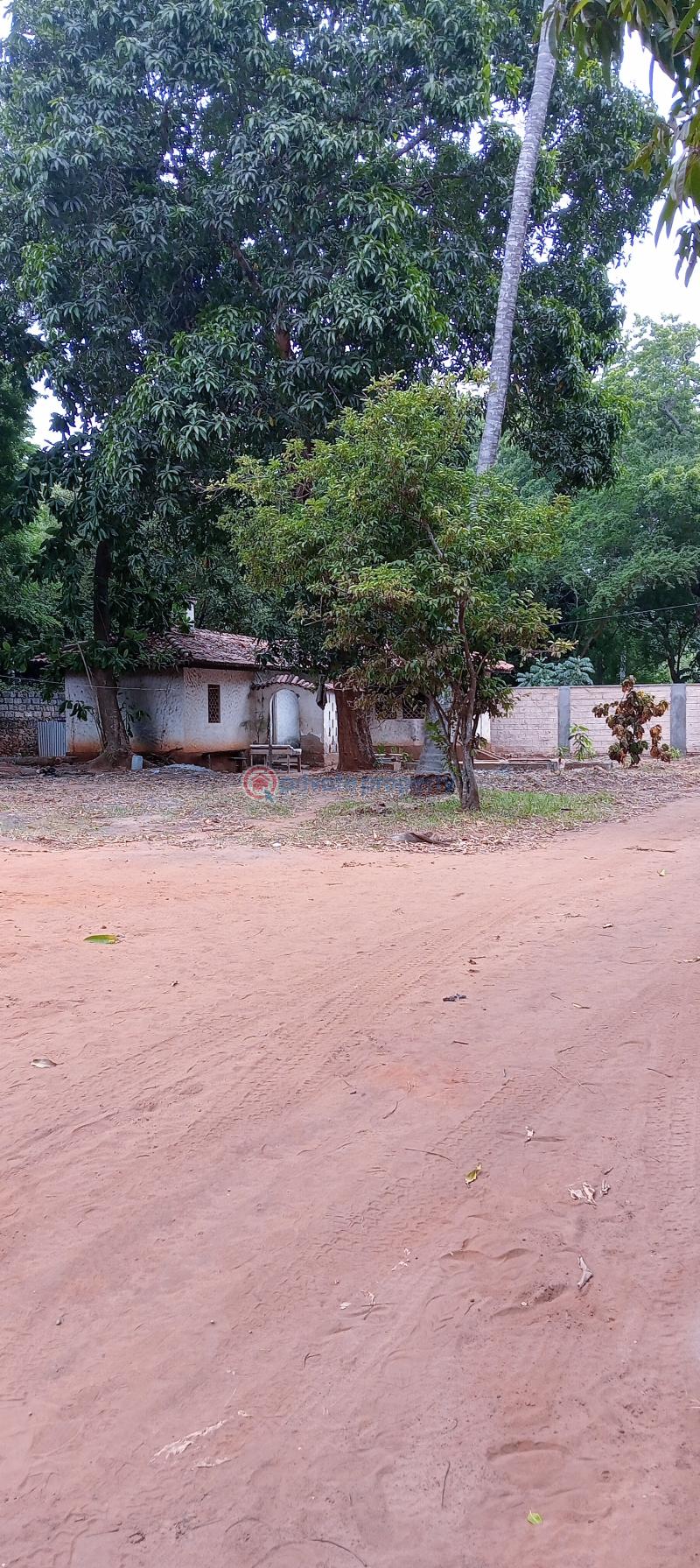 Land For Sale Past Sunset Apartment Shanzu Mombasa - 8