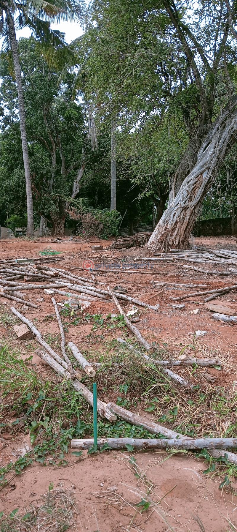 Land For Sale Past Sunset Apartment Shanzu Mombasa - 5
