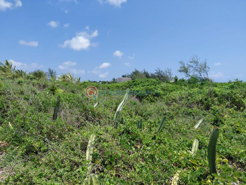 Land For Sale 2nd Row From The Beach Nyali Mombasa - 2