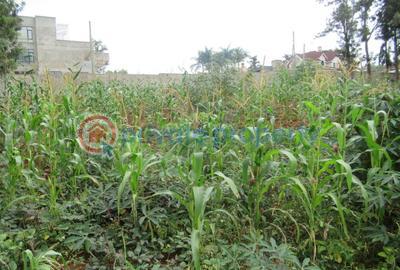 Land For Sale Thindigua, Kiambu Township C Kiambu - 0