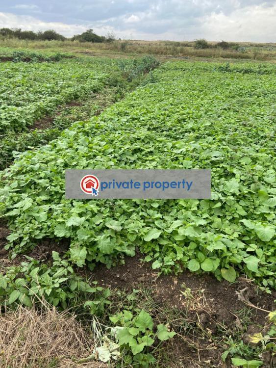 Residential Land For Sale &nbsp;eastern Bypass Mwiki Nairobi - 6