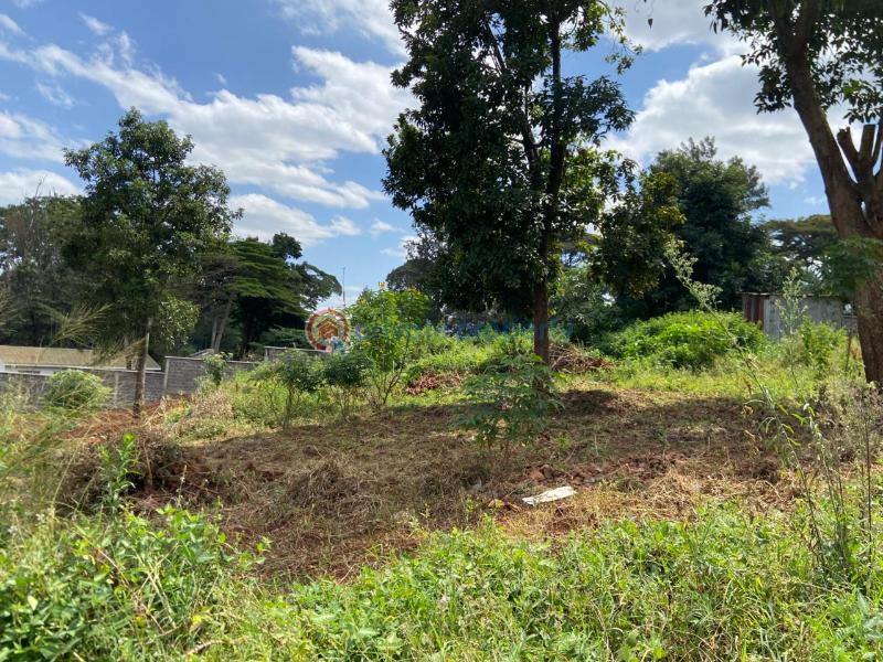 Land For Sale Starehe Girls Centre njathaini Cianda Kiambu - 12