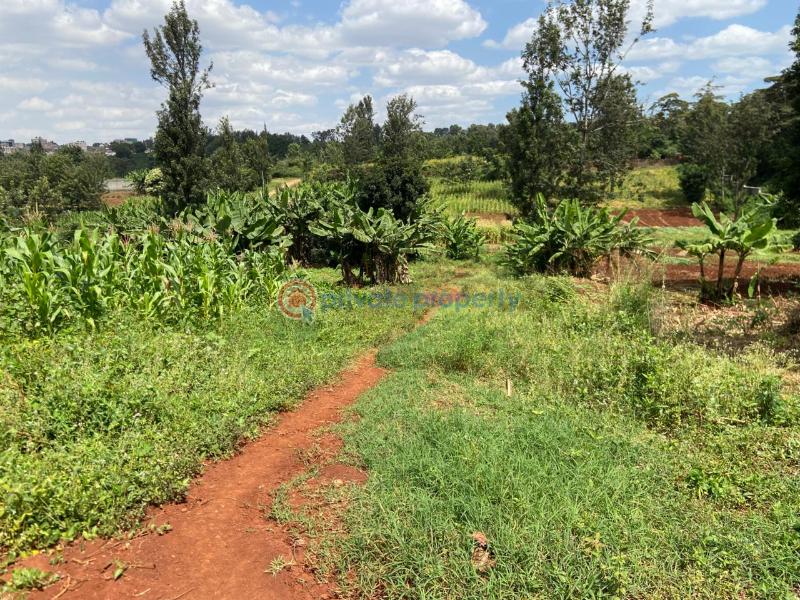 Land For Sale Starehe Girls Centre njathaini Cianda Kiambu - 9