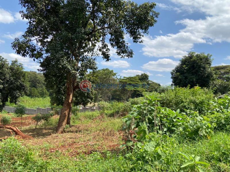 Land For Sale Starehe Girls Centre njathaini Cianda Kiambu - 7