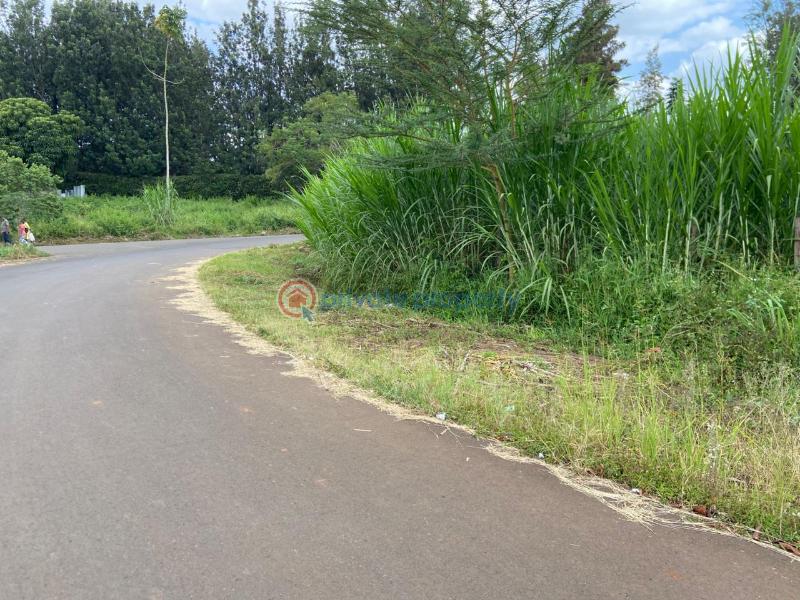 Land For Sale Starehe Girls Centre njathaini Cianda Kiambu - 3