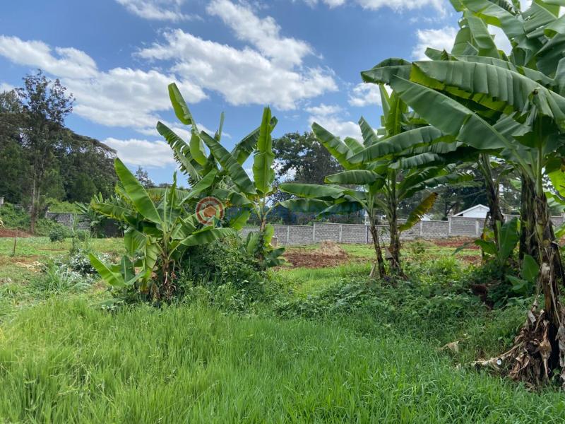 Land For Sale Starehe Girls Centre njathaini Cianda Kiambu - 13