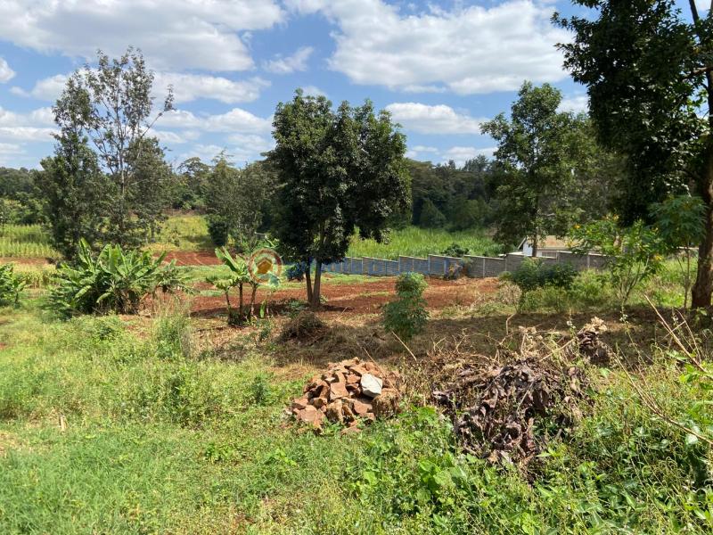 Land For Sale Starehe Girls Centre njathaini Cianda Kiambu - 8