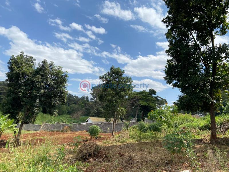 Land For Sale Starehe Girls Centre njathaini Cianda Kiambu - 11