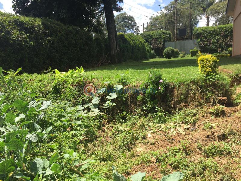 Residential Land For Sale Kitisuru Nairobi - 9